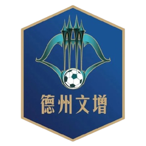 泰安队